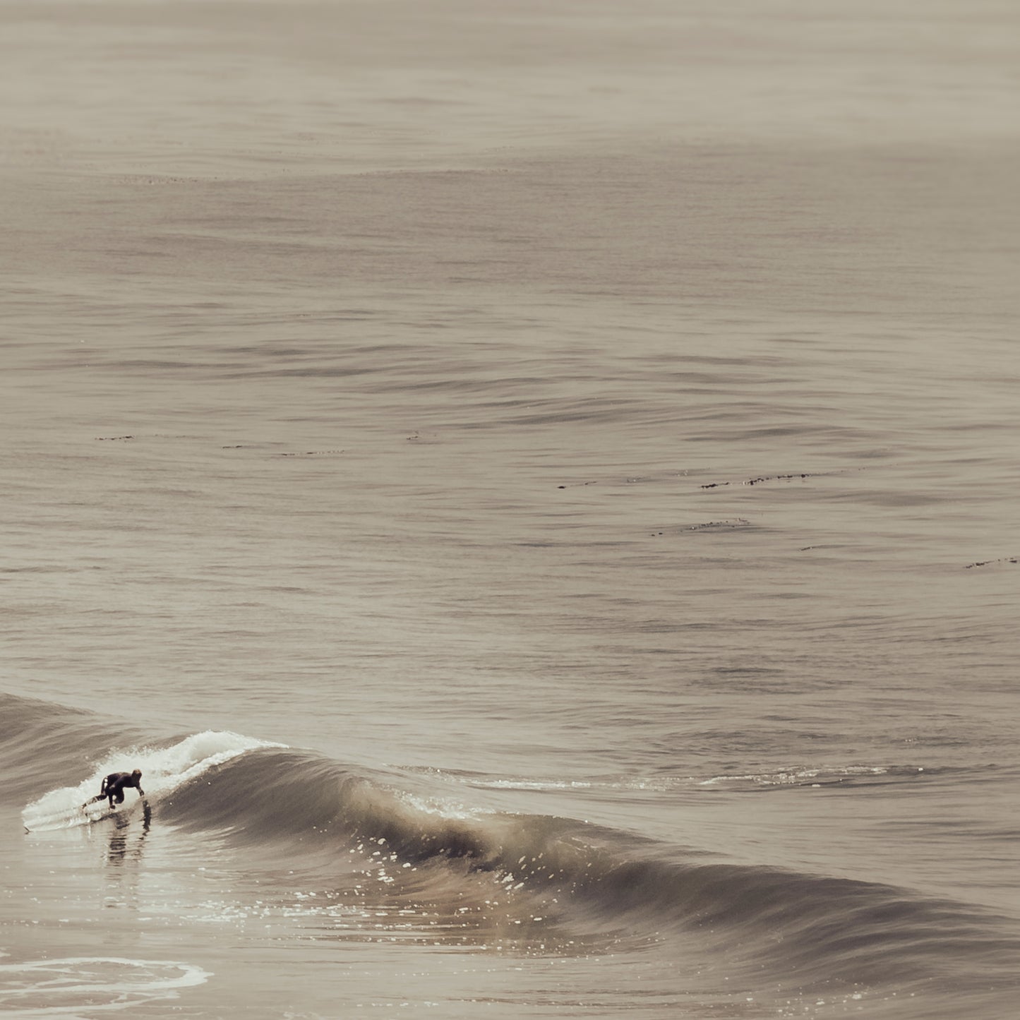 LONGBOARD SURFER