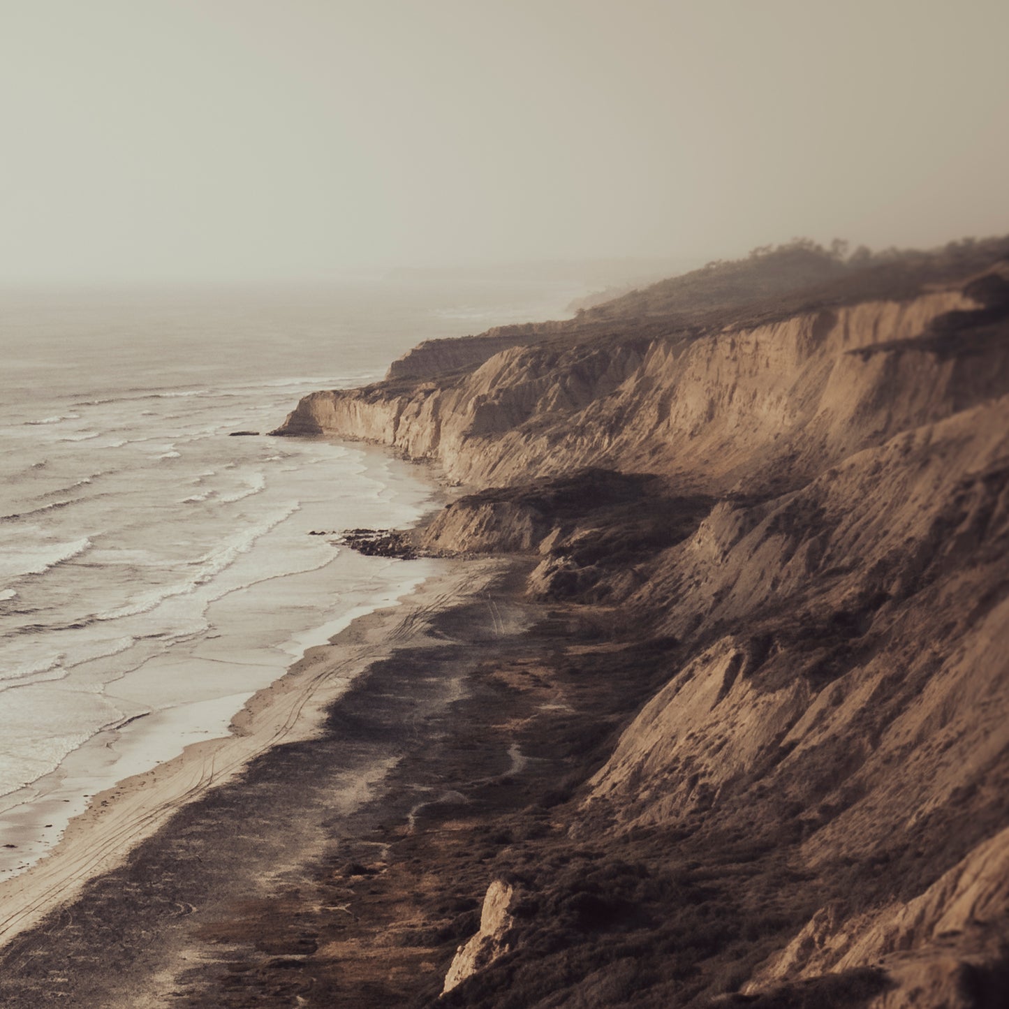 TIMELESS COAST