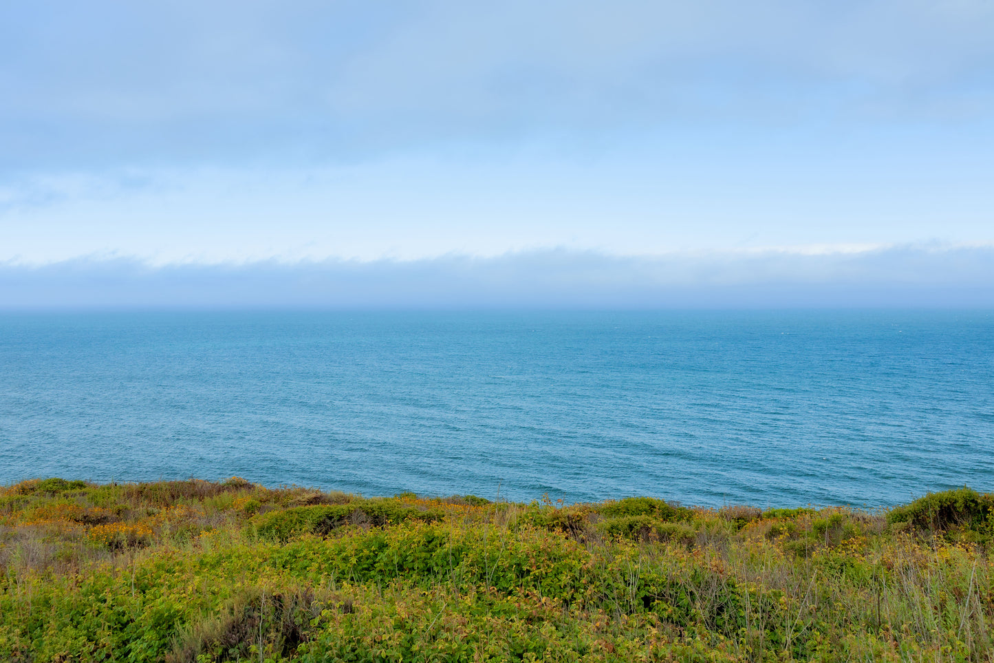 PERFECT COAST