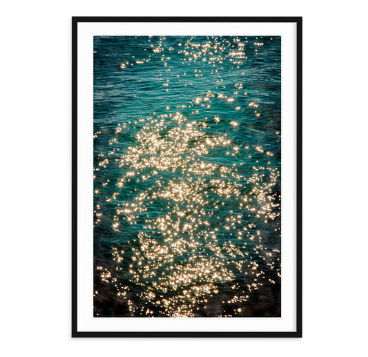 SEA STARS