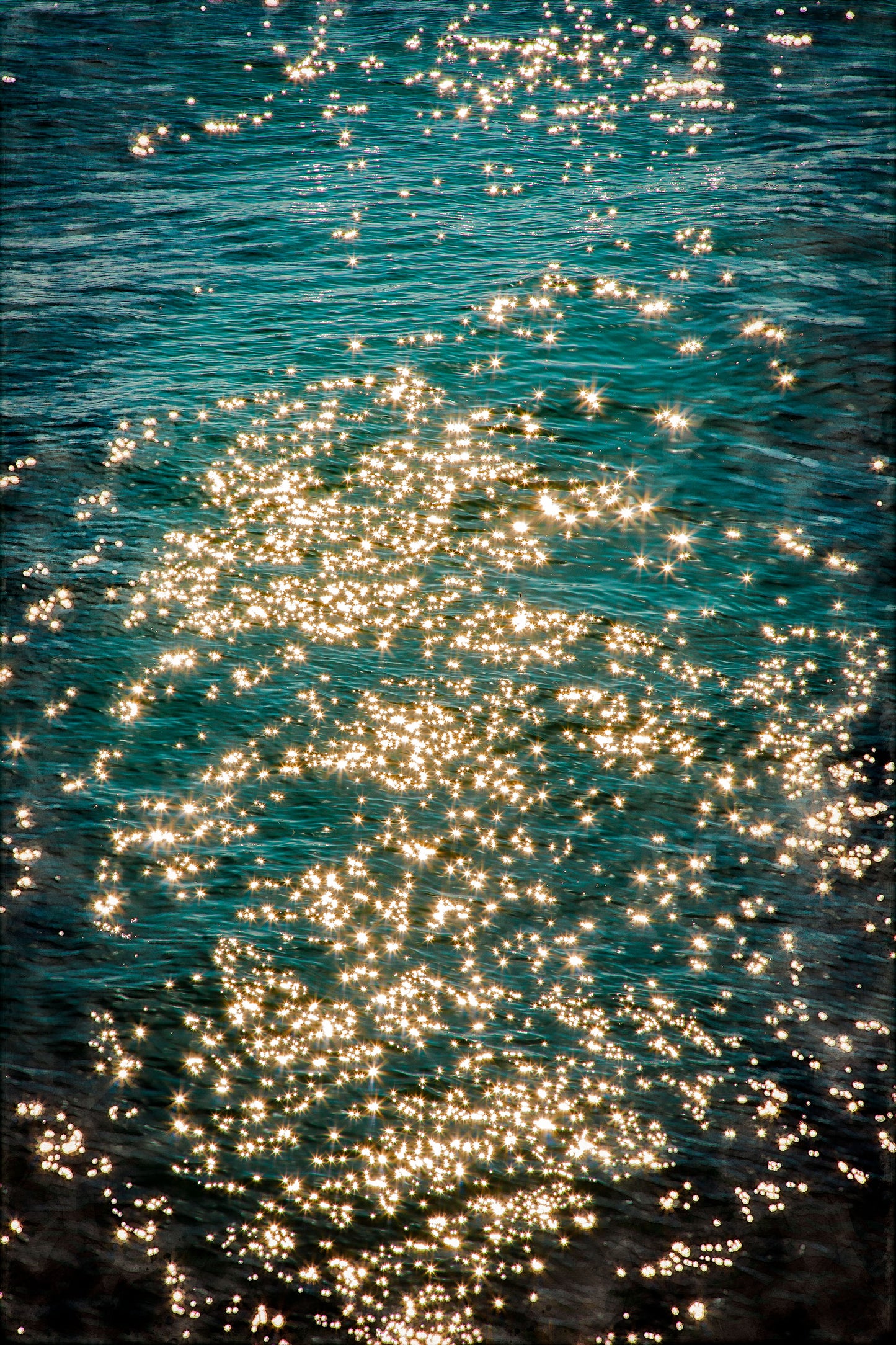 SEA STARS