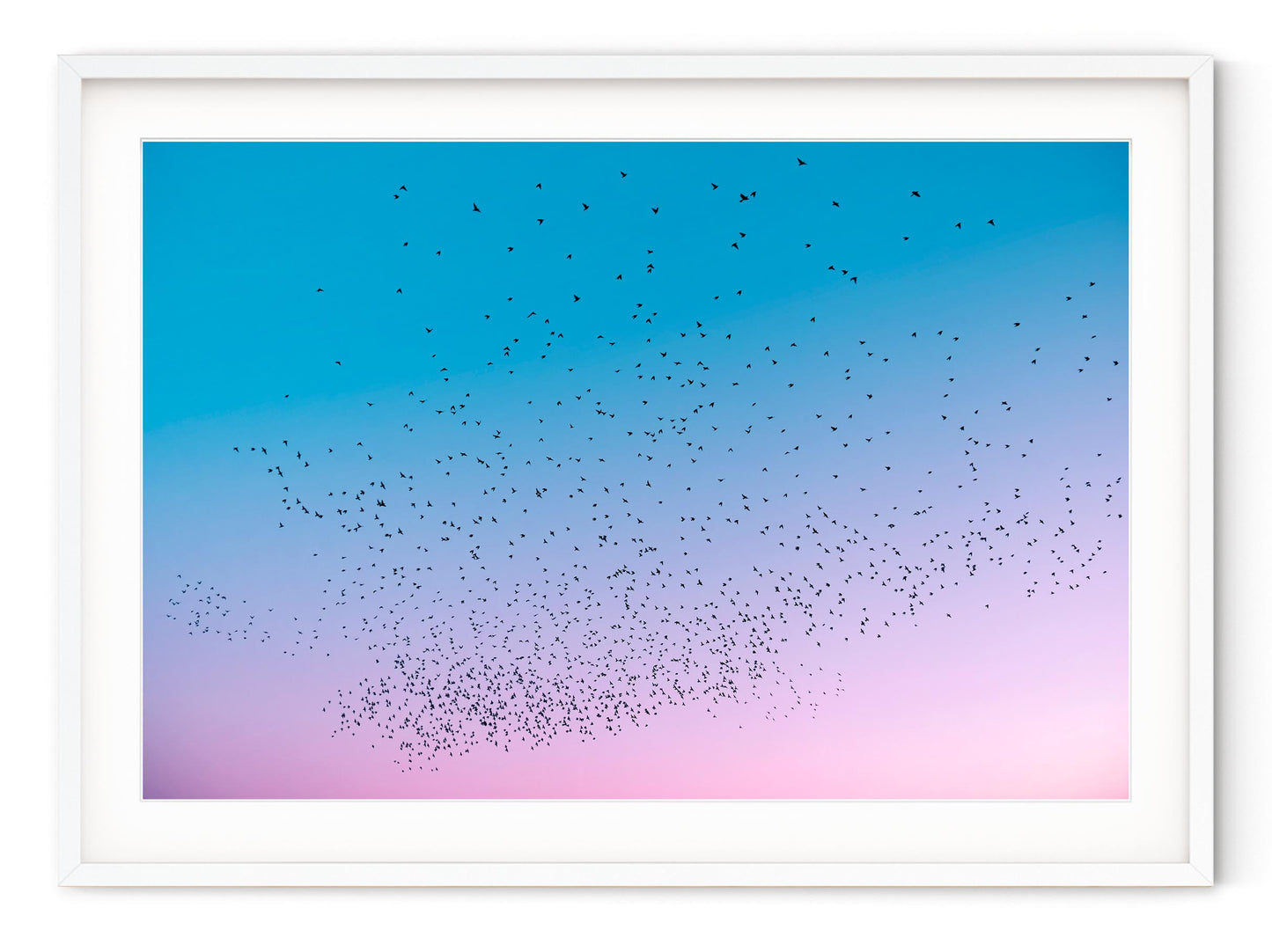 STARLINGS AT DUSK