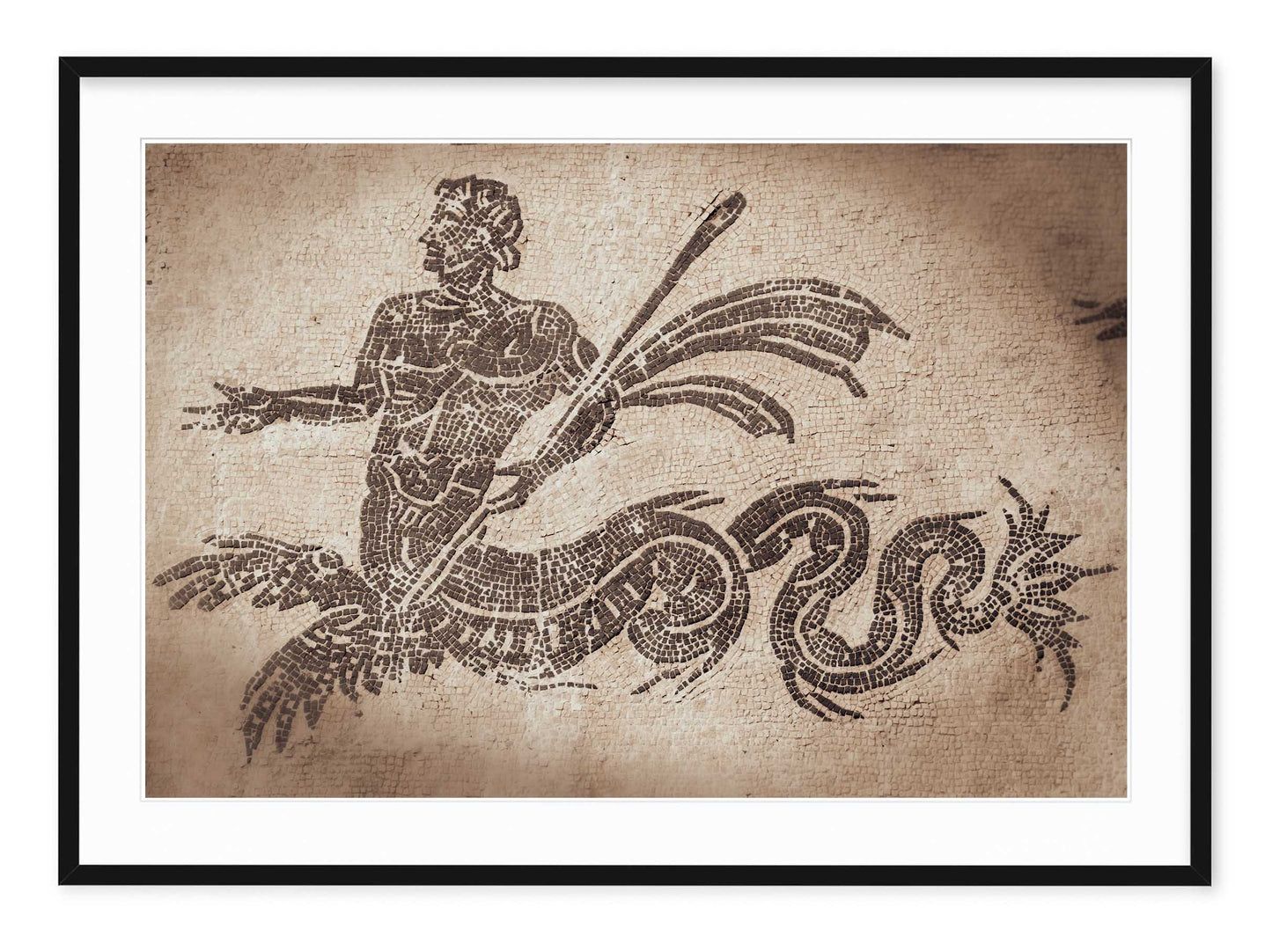 TRITON MOSAIC