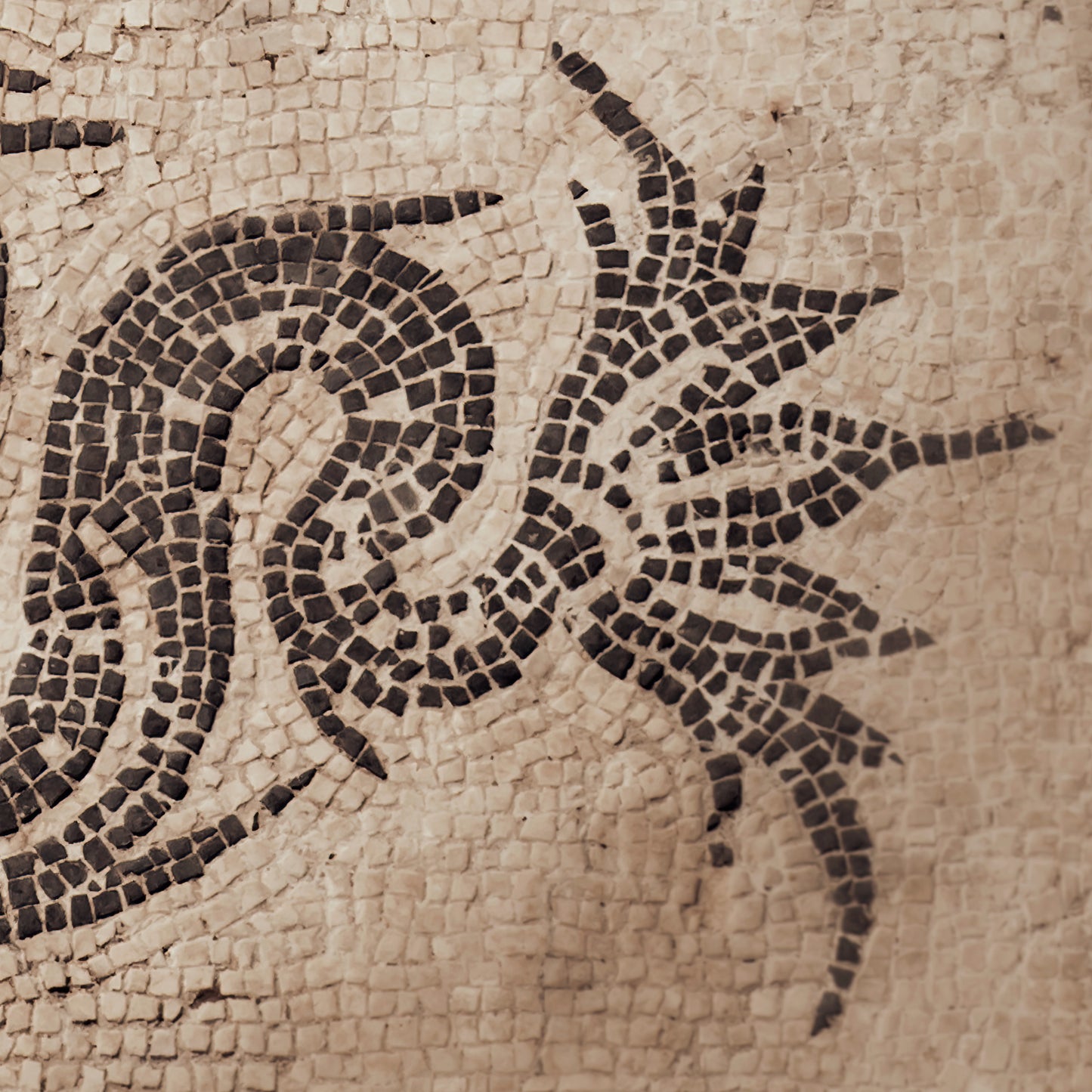 TRITON MOSAIC