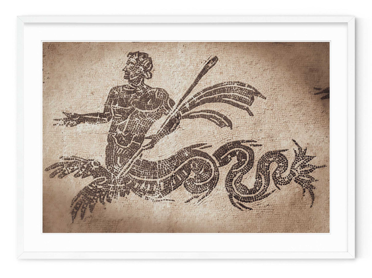 TRITON MOSAIC
