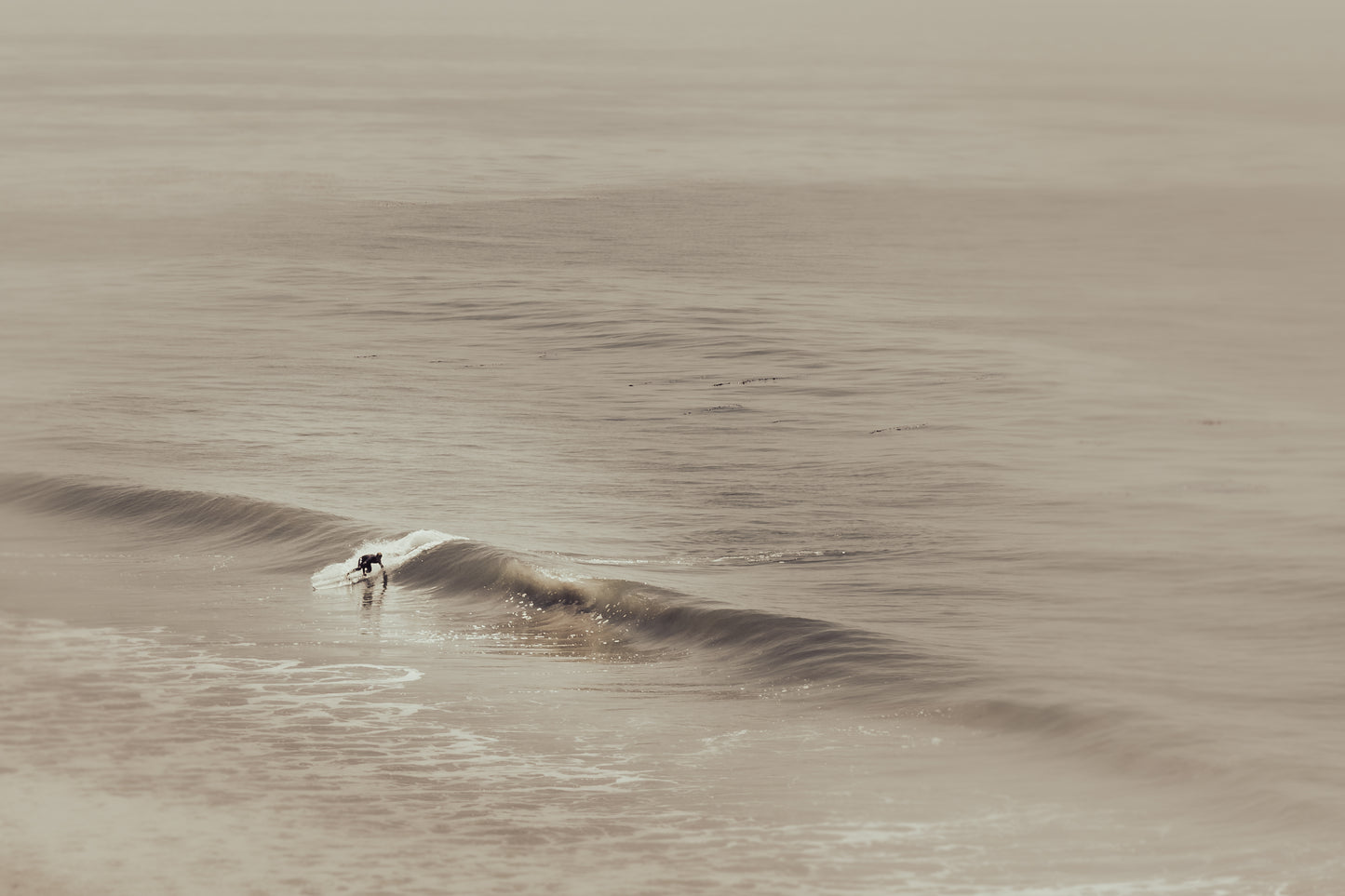 LONGBOARD SURFER