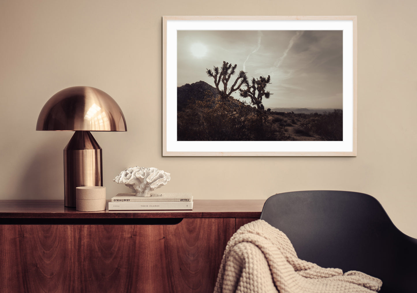MOJAVE DESERT