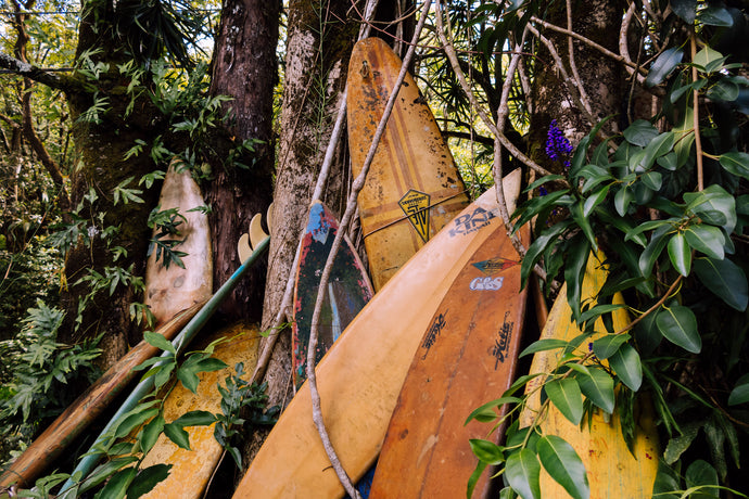 fine art color landscape photo of old surfboards on the road to hana in maui