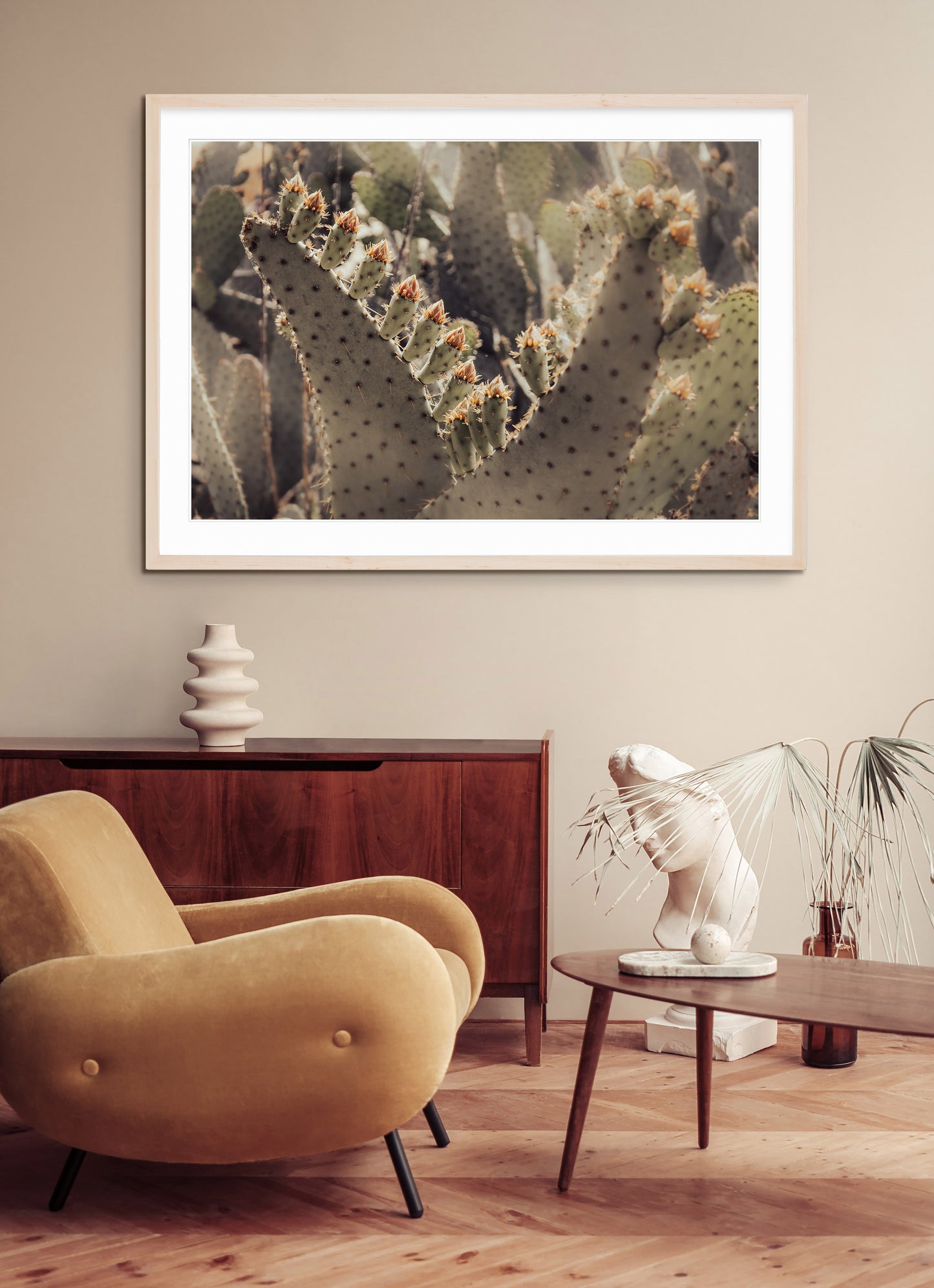 PRICKLY PEAR CACTUS
