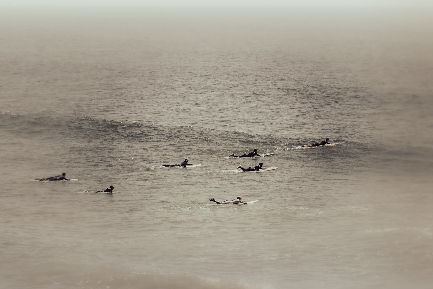 SURF GANG