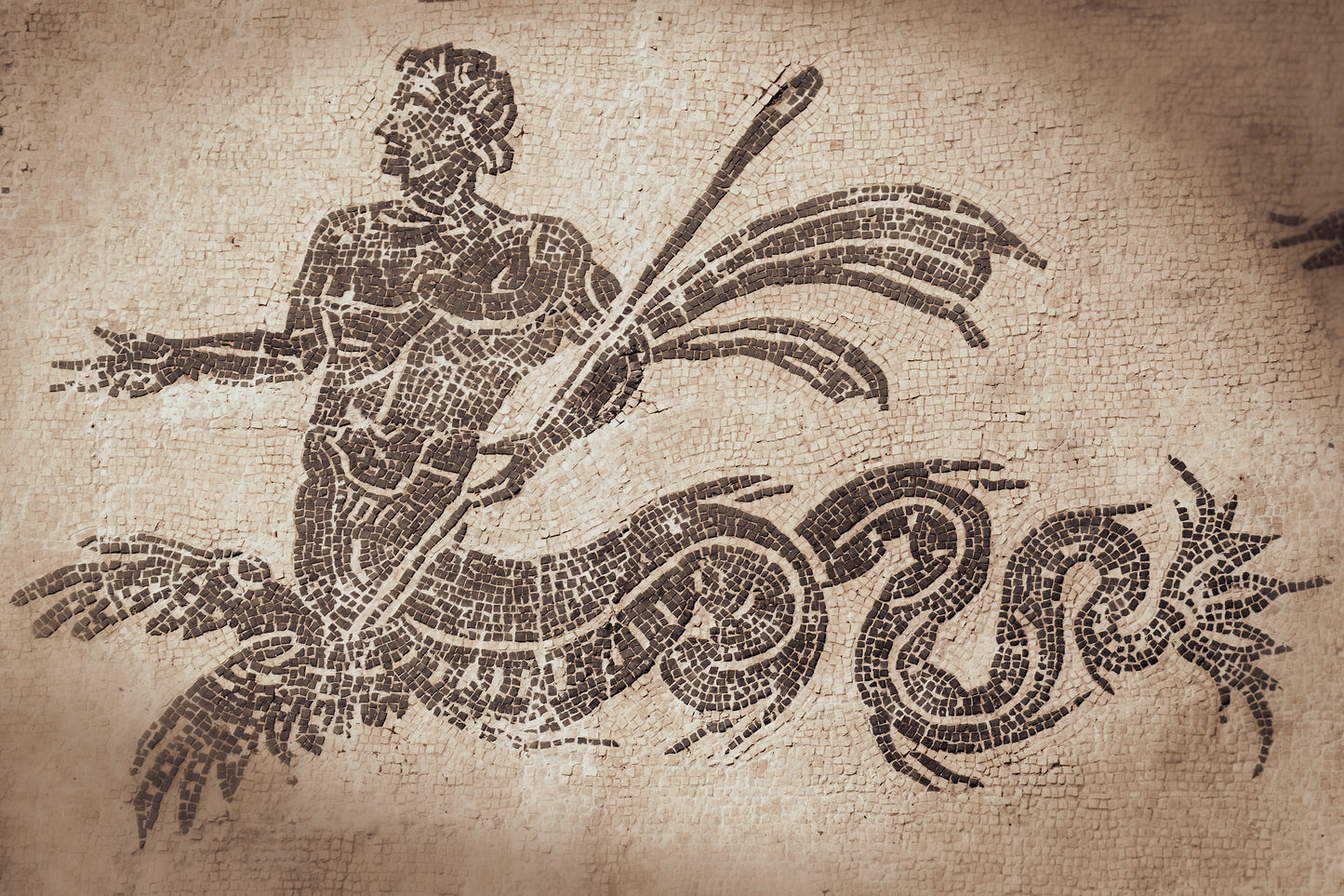 TRITON MOSAIC
