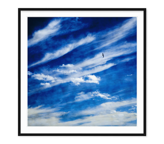 SHIBORI SKY