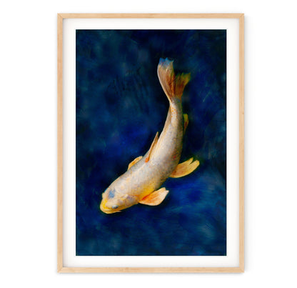 BUTTERFLY KOI (vertical)