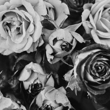 Load image into Gallery viewer, FADING ROSES

