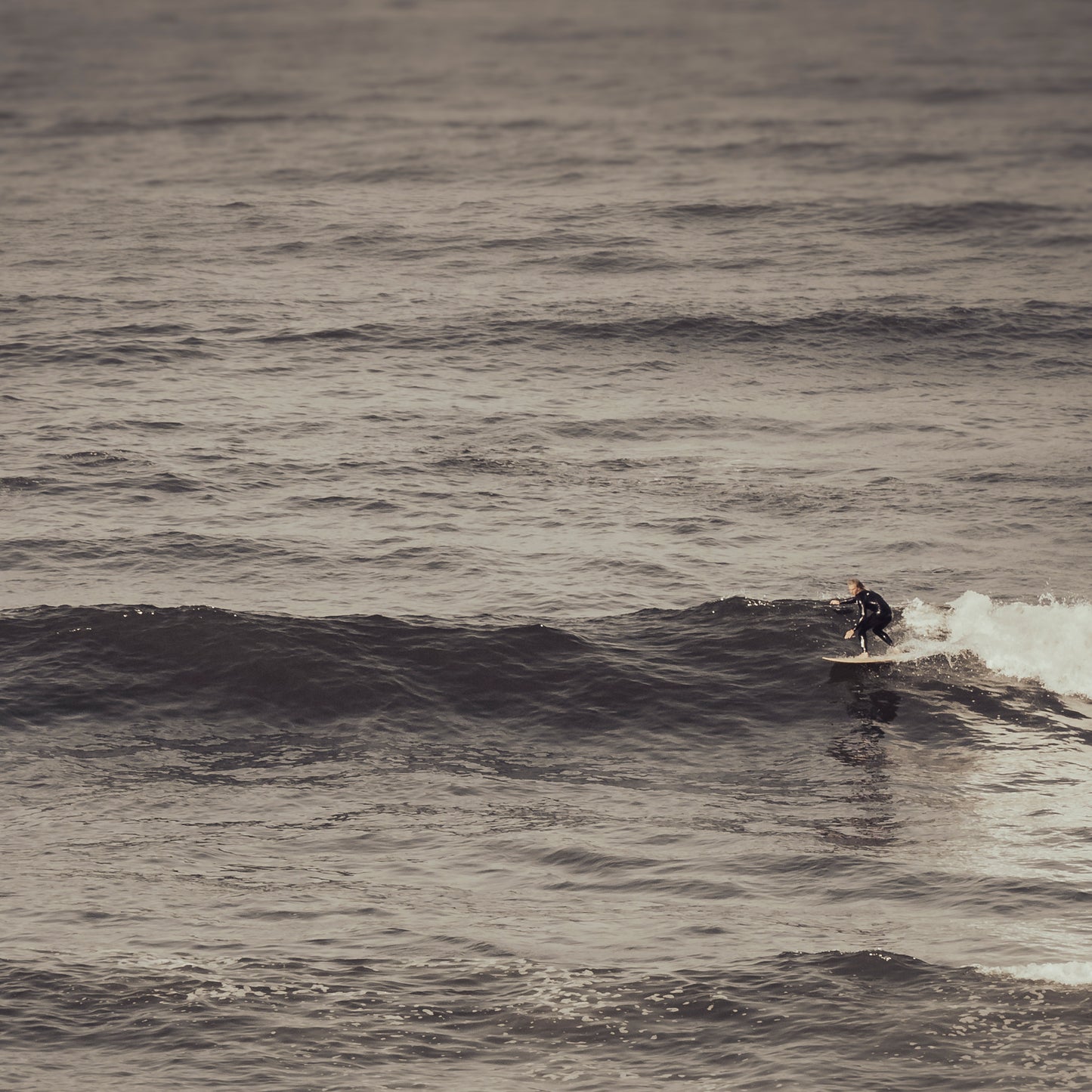 LONE SURFER