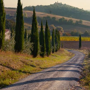 LOST IN TUSCANY