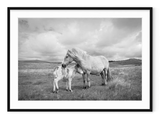 MARE AND FOAL