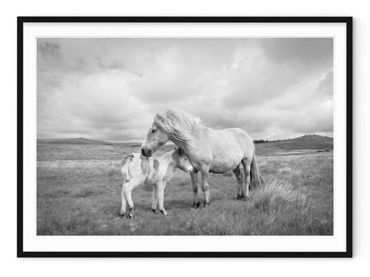 MARE AND FOAL