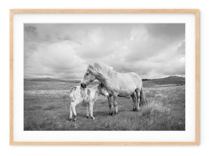 MARE AND FOAL