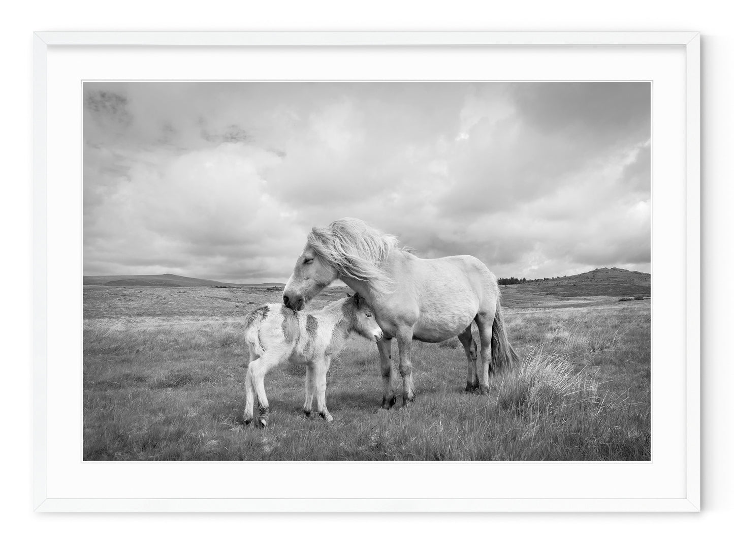 MARE AND FOAL