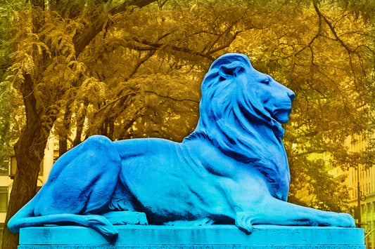 pop art mixed media image of new york city public library lion patience and fortitude with saturated colors