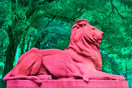 NEW YORK LIBRARY LION, Fortitude in Pink