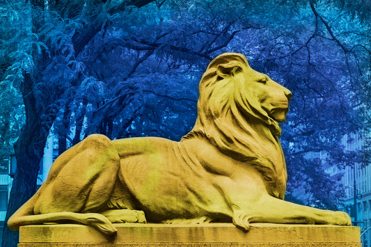 pop art mixed media image of new york city public library lion patience and fortitude with saturated colors