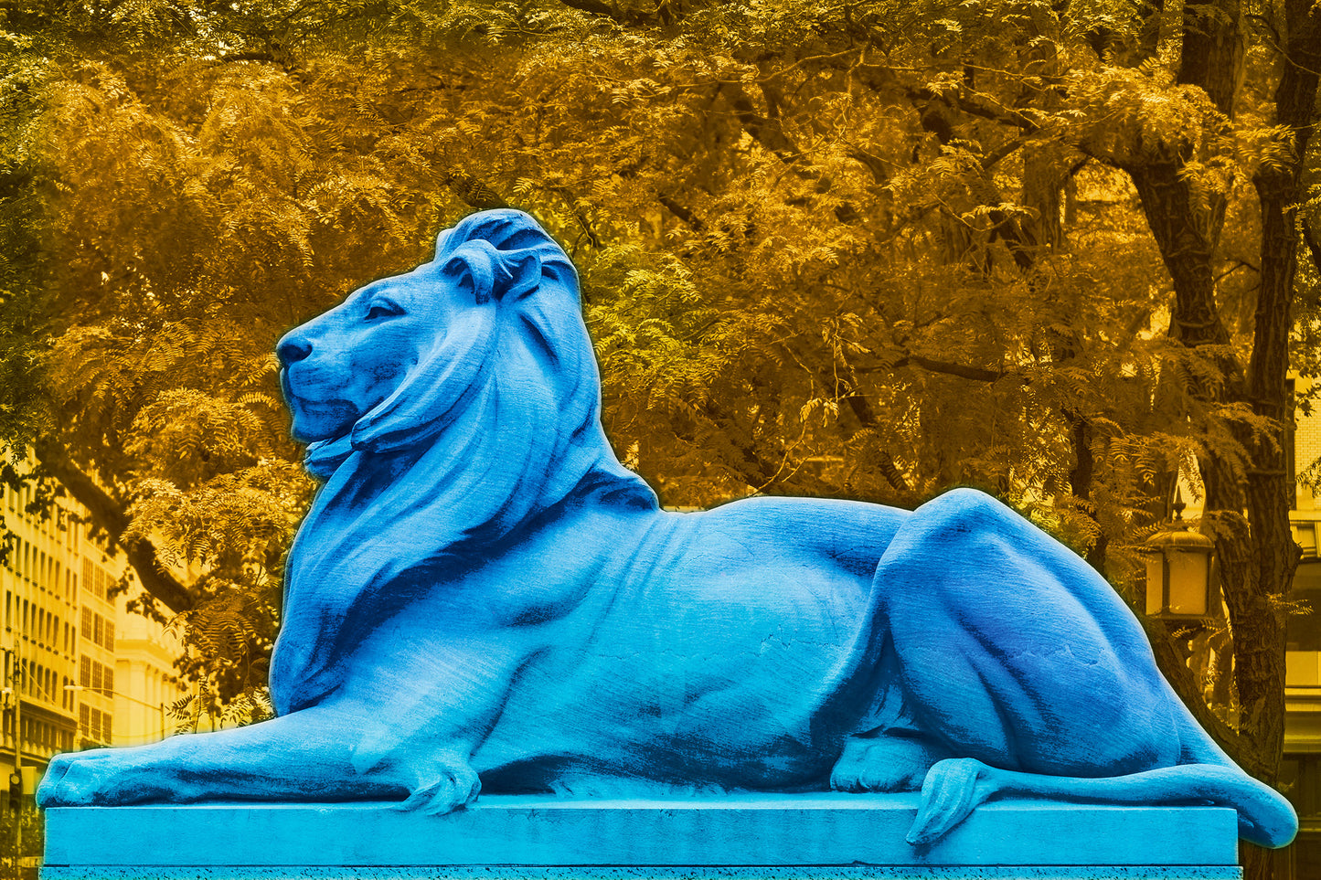 pop art mixed media image of new york city public library lion patience and fortitude with saturated colors