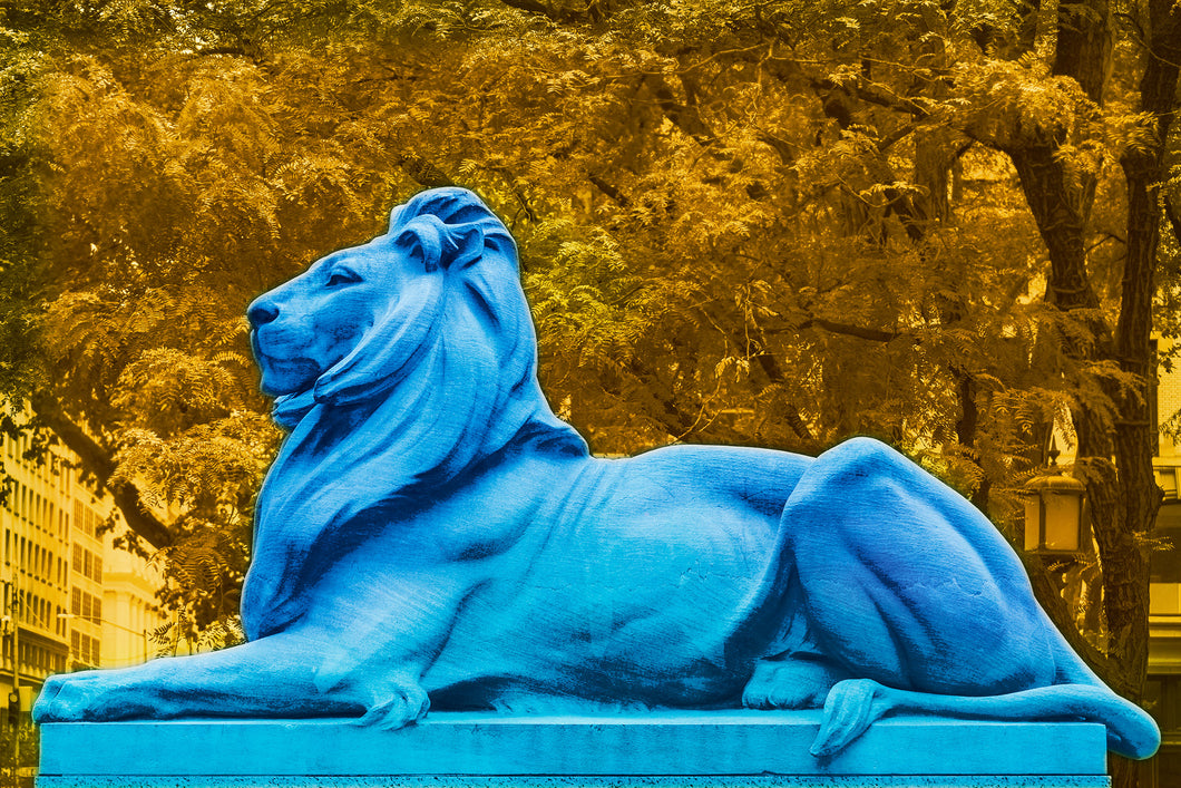 pop art mixed media image of new york city public library lion patience and fortitude with saturated colors