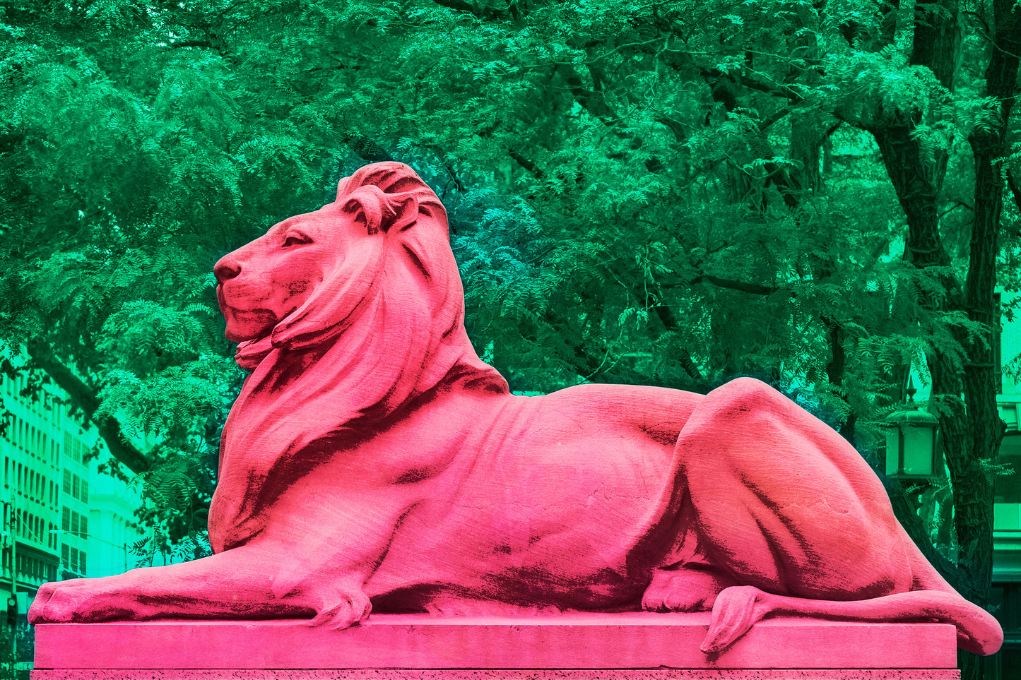 NEW YORK LIBRARY LION, Patience in Pink