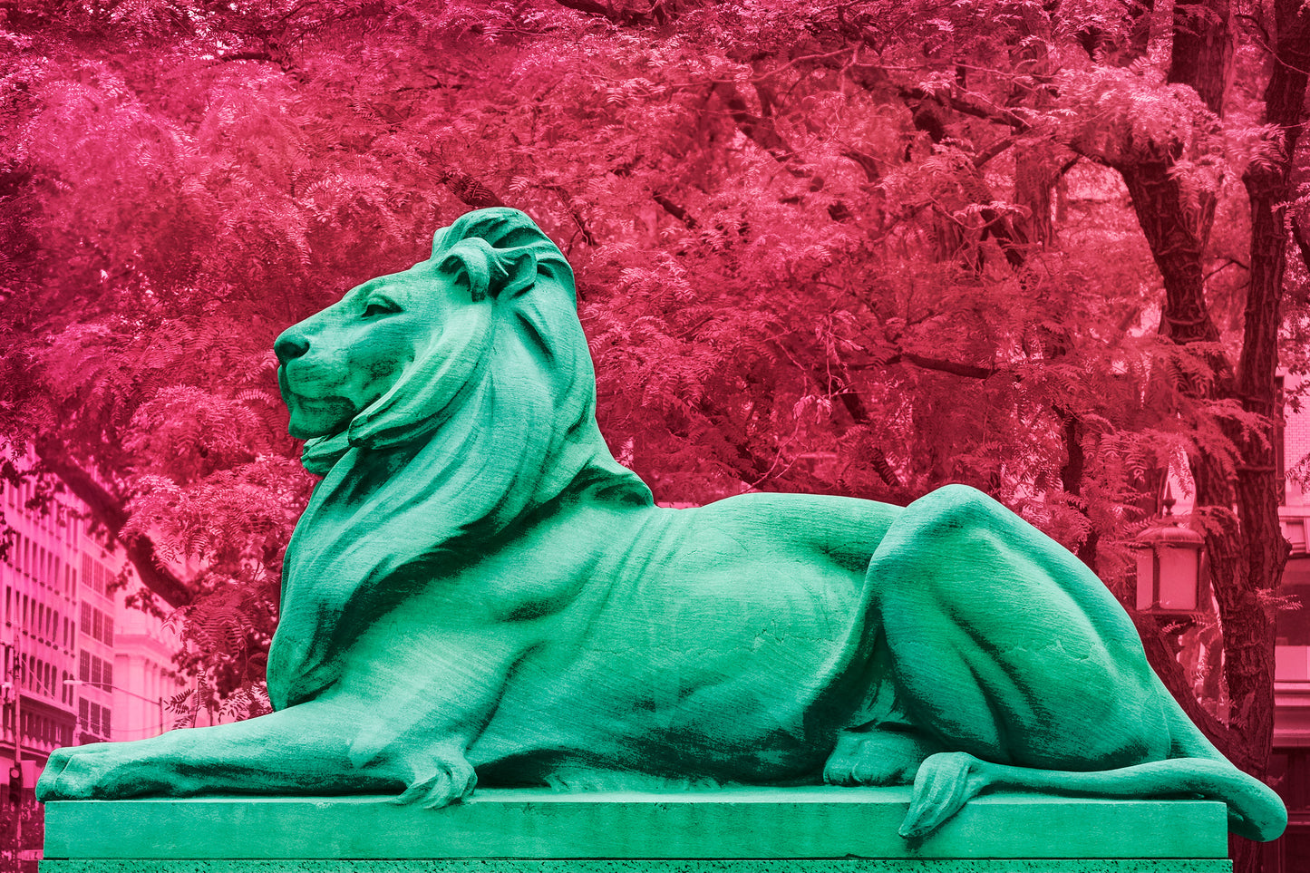 NEW YORK LIBRARY LION, Patience in Teal