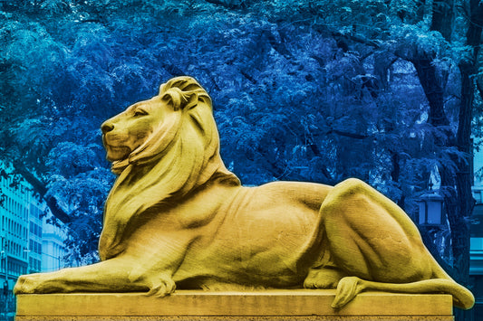 pop art mixed media image of new york city public library lion patience and fortitude with saturated colors