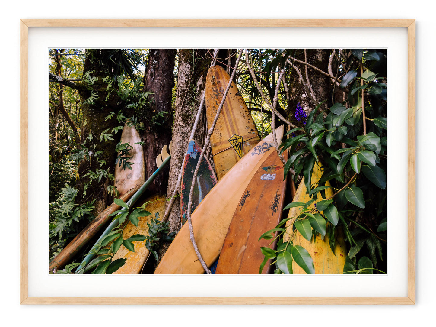 OLD SURFBOARDS