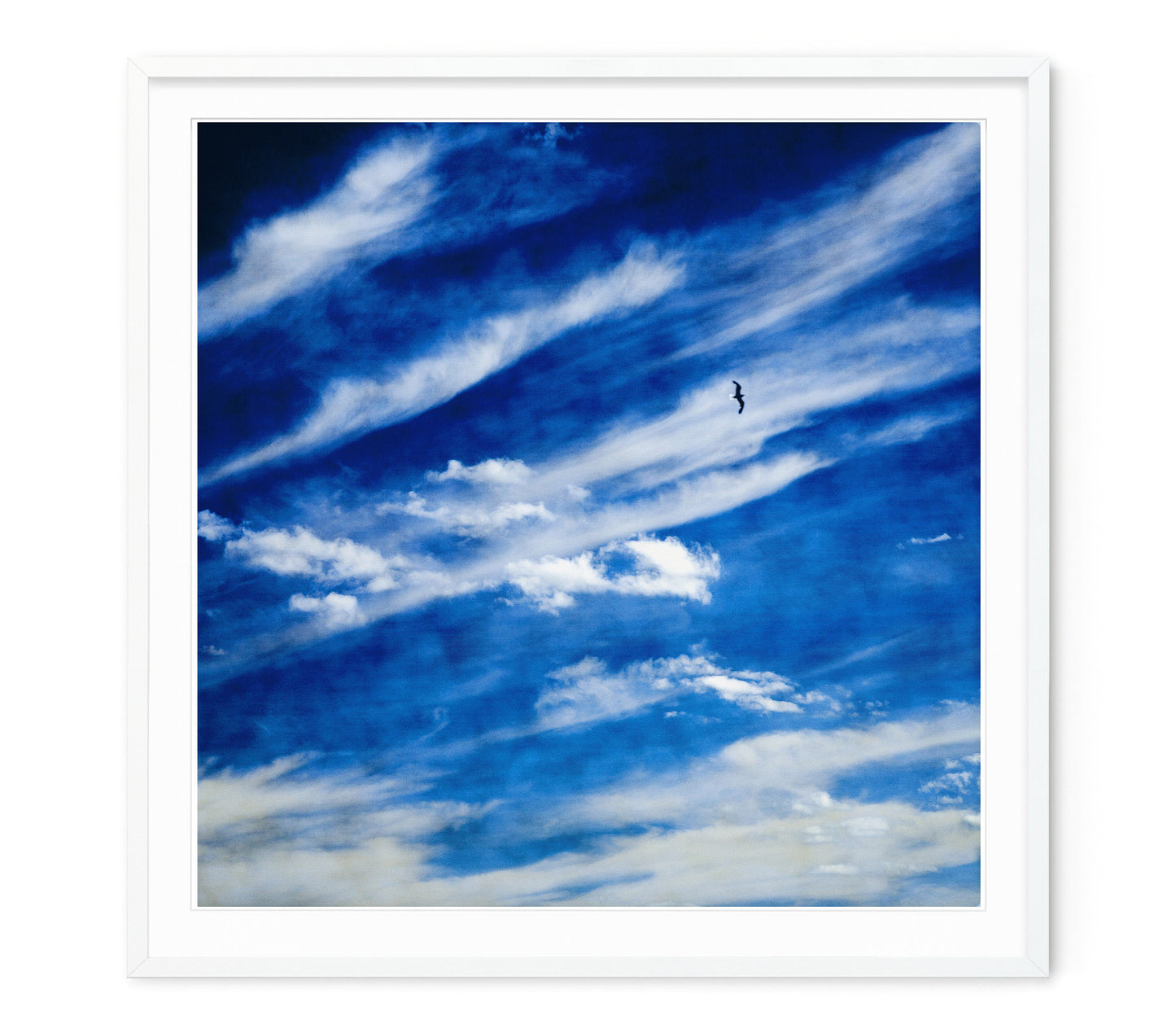 SHIBORI SKY