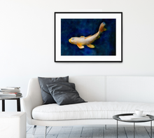 Load image into Gallery viewer, BUTTERFLY KOI (horizontal)
