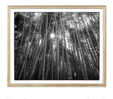 Load image into Gallery viewer, BAMBOO FOREST
