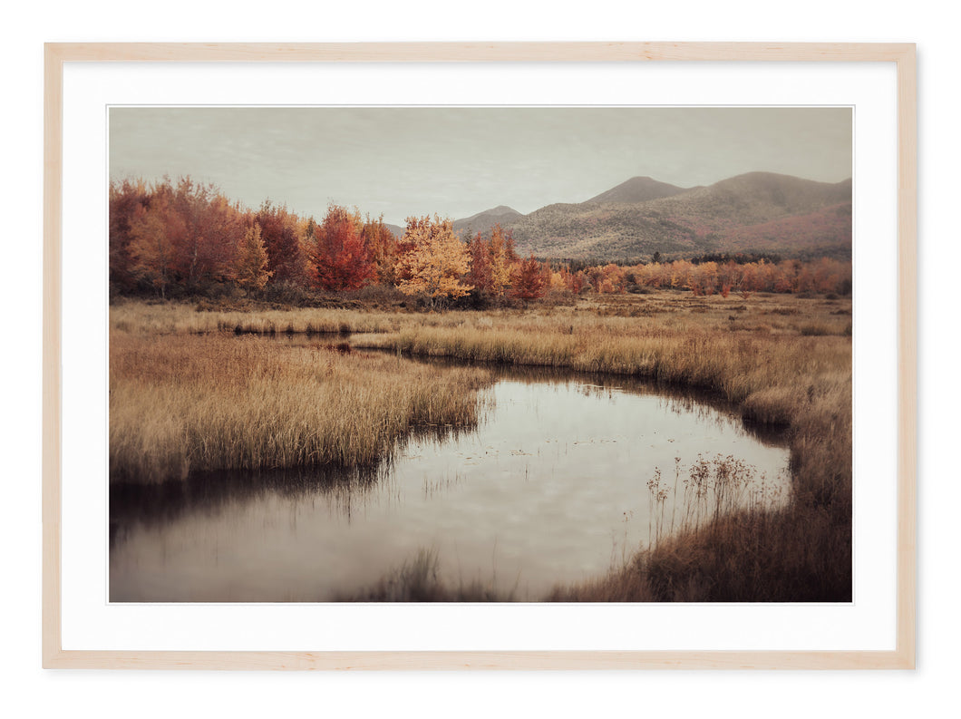 river winds through estuary in fall shades of gold, browns and reds in the adirondacks