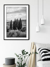 Load image into Gallery viewer, TUSCAN CYPRESS
