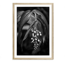 Load image into Gallery viewer, RAIN FOREST LILY
