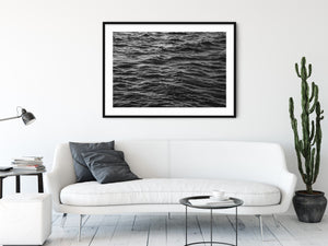SQUIBNOCKET WAVES (horizontal)