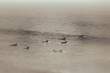 Load image into Gallery viewer, SURF GANG
