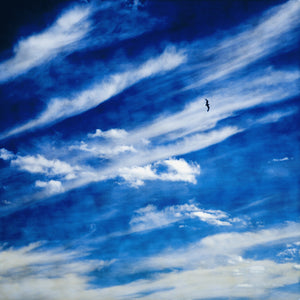 fine art mixed media image of clouds and seagull against a deep blue sky with shibori effect