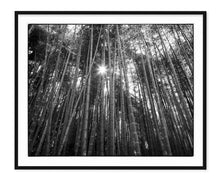 Load image into Gallery viewer, BAMBOO FOREST
