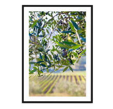 Load image into Gallery viewer, OLIVES &amp; VINES
